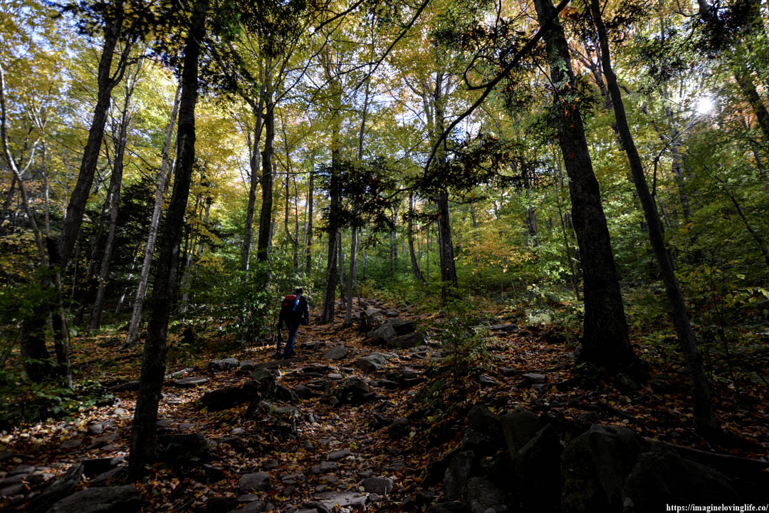 yellow trail ascent